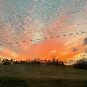 Meet your Posher, Tyler